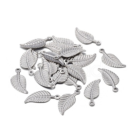 Non-Tarnish 201 Stainless Steel Charms STAS-F255-031P-1