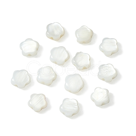 30Pcs Natural Freshwater Shell Beads SHEL-CJ0001-29-1