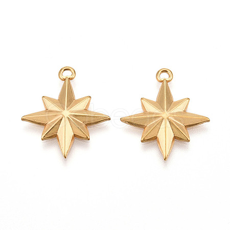 304 Stainless Steel Pendants STAS-N109-103G-1
