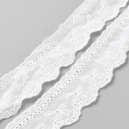 Flat Hollow Cotton Lace Trim OCOR-WH0077-105-1