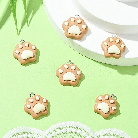 6Pcs Opaque Resin Pendants RESI-YW0003-45D-1