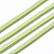 Eco-Friendly Faux Suede Cord, Faux Suede Lace, Lawn Green, 3.0x1.4mm, about 98.42 yards(90m)/roll