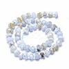 Natural Blue Lace Agate Beads Strands G-F715-032A-2