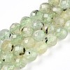 Natural Prehnite Beads Strands G-S345-10mm-28-1