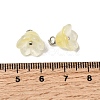 Glass Charms GLAA-G127-03B-3