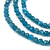 Natural Apatite Beads Strands X-G-Z057-B02-02-3