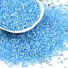Imitation Cat Eyes Glass Seed Beads SEED-H003-03W-1