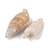 Natural Spiral Shell Beads SHEL-K009-17B-2