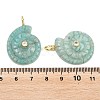 Natural Amazonite Pendants G-H353-02G-08-3