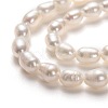 Natural Cultured Freshwater Pearl Beads Strands PEAR-L033-58-01-2