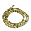 Natural Green Garnet Beads Strands GG-CBA77FB-C01-01-5