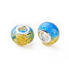 Crackle Two Tone Resin European Beads RPDL-T003-06I-3