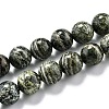 Natural Green Zebra Jasper Beads Strands G-O199-05C-1