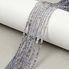 Natural Iolite Beads Strands G-F789-02-1