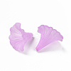 Transparent Acrylic Beads X-BSF796-C08-3