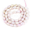 Anti-Tarnish Electroplate Glass Beads Strands GLAA-T025-13A-08-2