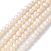 Natural Cultured Freshwater Pearl Beads Strands PEAR-I007-07L-01-2