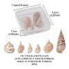 6Pcs 6 Styles Electroplated Natural Spiral Shell Pendants SSHEL-YW0001-06-4