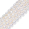 Natural Cultured Freshwater Pearl Beads Strands PEAR-N012-03F-2
