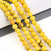 Natural Persian Jade Beads Strands G-A255-A02-01I-1