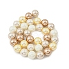 Round Shell Pearl Beads Strands BSHE-XCP0001-26A-2