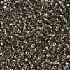 TOHO Round Seed Beads SEED-XTR08-0029-2