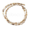 Natural Freshwater Shell Beads Strands SHEL-K006-78A-2