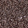 FGB 11/0 Grade A Glass Seed Beads SEED-S030-1205-2