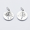 Eco-Friendly 316 Surgical Stainless Steel Micro Pave Cubic Zirconia Charms RB-I078-75P-NR-2