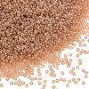 MIYUKI Round Rocailles Beads SEED-X0056-RR2371-1