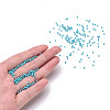 12/0 FGB Grade A Round Glass Seed Beads SEED-N001-A-1016-4