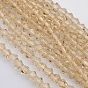 Bicone Glass Beads Strands EGLA-P016-4mm-12-1