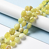 Natural Yellow Opal Beads Strands G-B028-B13-3