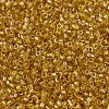 MIYUKI Delica Beads X-SEED-J020-DB2372-3