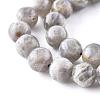 Natural Labradorite Beads Strands X-G-G212-8mm-23-9