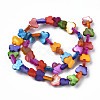 Dyed Natural Freshwater Shell Beads Strands SHEL-T009-B18-2