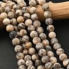 Natural Feldspar Bead Strands G-P295-06-8mm-1