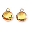 K9 Glass Charms GLAA-N038-22-01LG-5