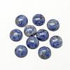 Natural Blue Spot Jasper Cabochons G-R416-16mm-45-1