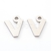 Non-Tarnish 304 Stainless Steel Charms STAS-G244-01N-1
