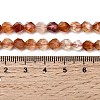 Natural Red Agate Beads Strands G-Z119-A02-01-6