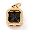 Real 18K Gold Plated Brass Inlaid Cubic Zirconia Charms ZIRC-L100-073G-03-3