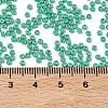 MIYUKI Round Rocailles Beads X-SEED-G007-RR5105-4
