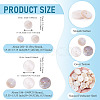 1 Strand 2 Styles Natural Freshwater Shell Beads Strands SHEL-TA0001-43-5
