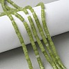 Natural TaiWan Jade Beads Strands G-NH0042-B01-01-1