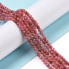 Natural Rhodonite Beads Strands G-C009-A18-2