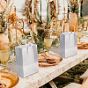 Rectangle Laser Paper Gift Bags ABAG-TAC0006-44B-7