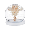 Glass Dome Cover AJEW-WH0752-087A-1