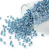 TOHO 8/0 Round Beads X-SEED-TR08-0782-1