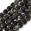 Natural Silver Obsidian Beads Strands G-I376-A31-01-1